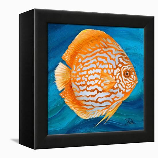 Aquatic Life I (Vibrant Sea Life II)-Patricia Pinto-Framed Stretched Canvas