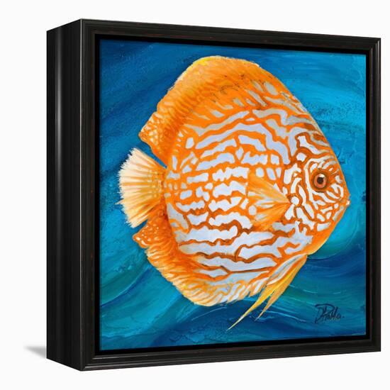 Aquatic Life I (Vibrant Sea Life II)-Patricia Pinto-Framed Stretched Canvas