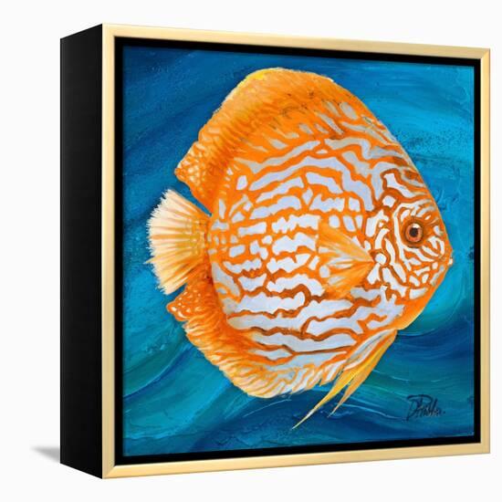 Aquatic Life I (Vibrant Sea Life II)-Patricia Pinto-Framed Stretched Canvas