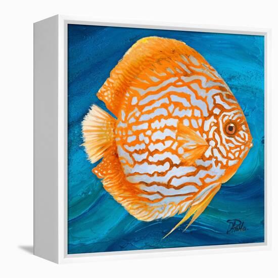 Aquatic Life I (Vibrant Sea Life II)-Patricia Pinto-Framed Stretched Canvas
