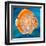 Aquatic Life I (Vibrant Sea Life II)-Patricia Pinto-Framed Art Print