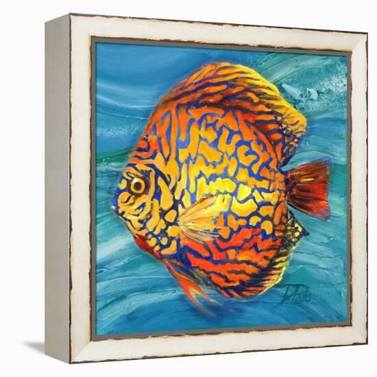 Aquatic Life II (Vibrant Sea Life IV)-Patricia Pinto-Framed Stretched Canvas