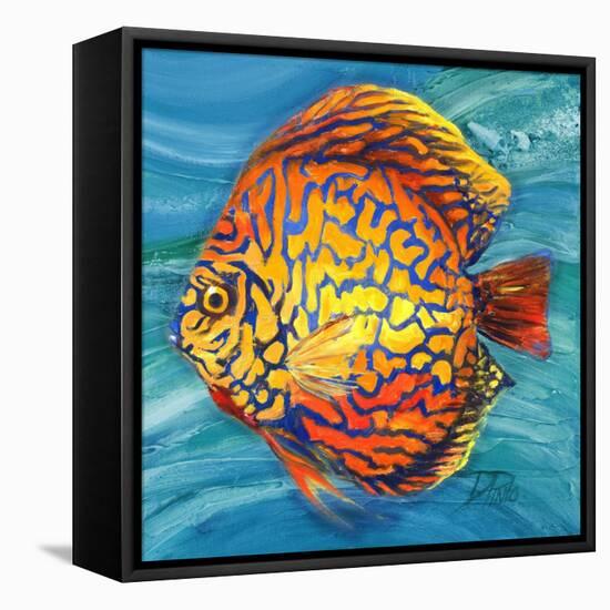 Aquatic Life II (Vibrant Sea Life IV)-Patricia Pinto-Framed Stretched Canvas