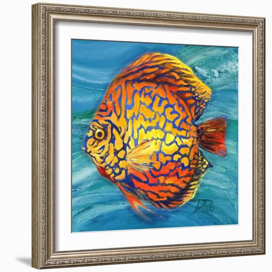 Aquatic Life II (Vibrant Sea Life IV)-Patricia Pinto-Framed Art Print