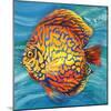 Aquatic Life II (Vibrant Sea Life IV)-Patricia Pinto-Mounted Art Print