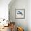 Aquatic Life II-Todd Williams-Framed Art Print displayed on a wall