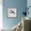 Aquatic Life II-Todd Williams-Framed Premium Giclee Print displayed on a wall
