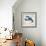 Aquatic Life II-Todd Williams-Framed Premium Giclee Print displayed on a wall