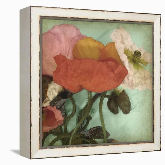 Aquatic Poppies II-Jennifer Goldberger-Framed Stretched Canvas