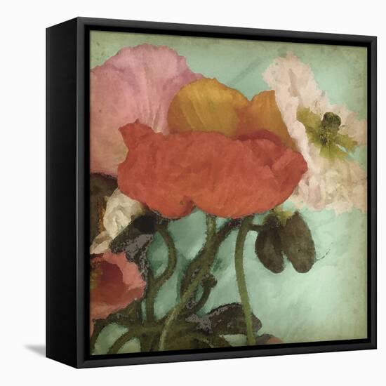 Aquatic Poppies II-Jennifer Goldberger-Framed Stretched Canvas