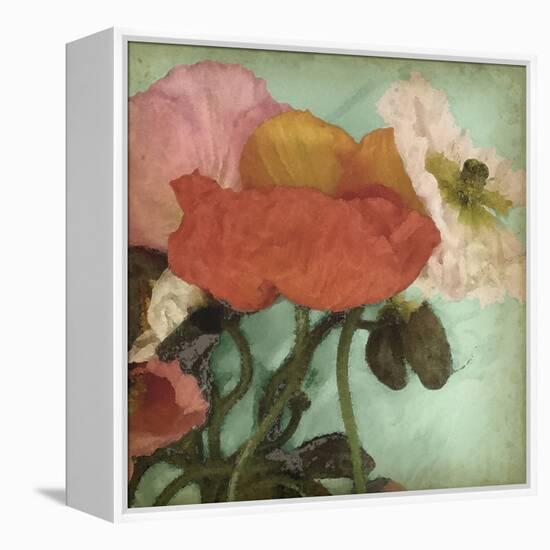 Aquatic Poppies II-Jennifer Goldberger-Framed Stretched Canvas