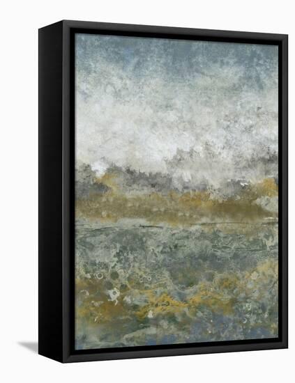 Aquatic Range I-Tim OToole-Framed Stretched Canvas