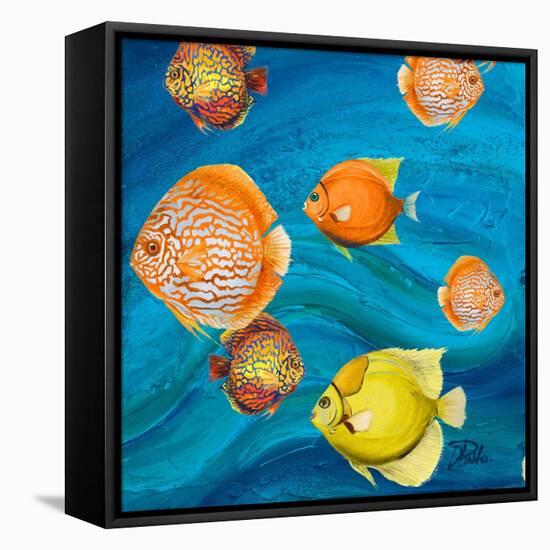 Aquatic Sea Life II-Patricia Pinto-Framed Stretched Canvas