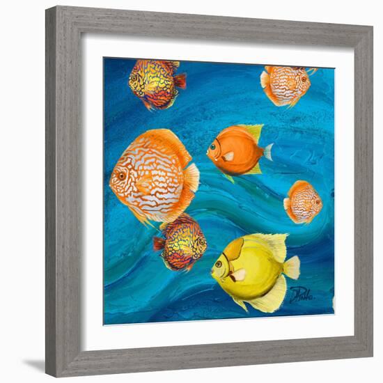 Aquatic Sea Life II-Patricia Pinto-Framed Art Print