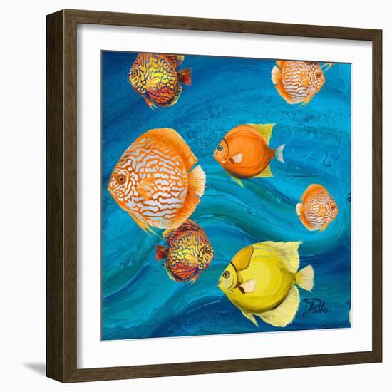 Aquatic Sea Life II-Patricia Pinto-Framed Art Print