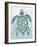 Aquatic Turtle I-Elizabeth Medley-Framed Art Print