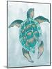 Aquatic Turtle II-Elizabeth Medley-Mounted Art Print