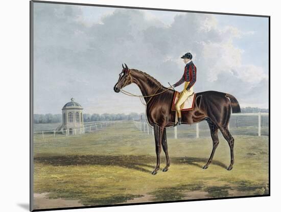 Aquatint by Thomas Sutherland After St. Patrick, Winner 1820-John Frederick Herring I-Mounted Giclee Print