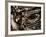 Aquatint-Stephen Arens-Framed Photographic Print