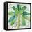 Aqueous Palm II-Paul Brent-Framed Stretched Canvas