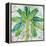 Aqueous Palm II-Paul Brent-Framed Stretched Canvas