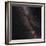 Aquila Constellation-Eckhard Slawik-Framed Premium Photographic Print