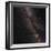 Aquila Constellation-Eckhard Slawik-Framed Premium Photographic Print