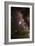 Aquila Constellation-John Sanford-Framed Photographic Print