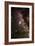 Aquila Constellation-John Sanford-Framed Photographic Print