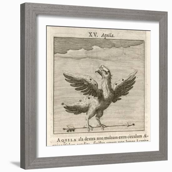 Aquila the Eagle-Gaius Julius Hyginus-Framed Art Print