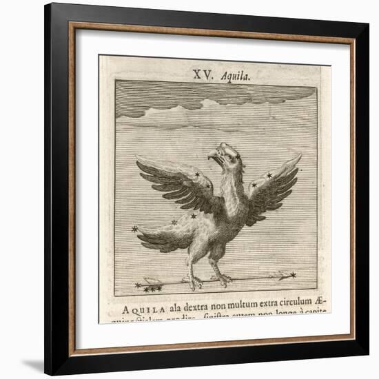 Aquila the Eagle-Gaius Julius Hyginus-Framed Art Print