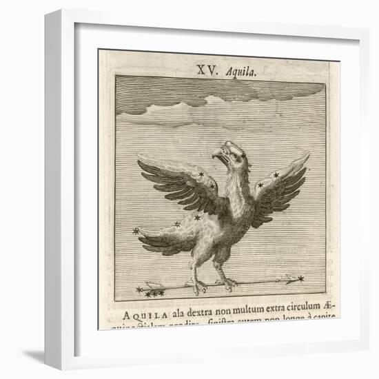 Aquila the Eagle-Gaius Julius Hyginus-Framed Art Print