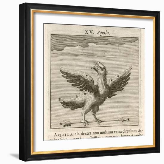 Aquila the Eagle-Gaius Julius Hyginus-Framed Art Print