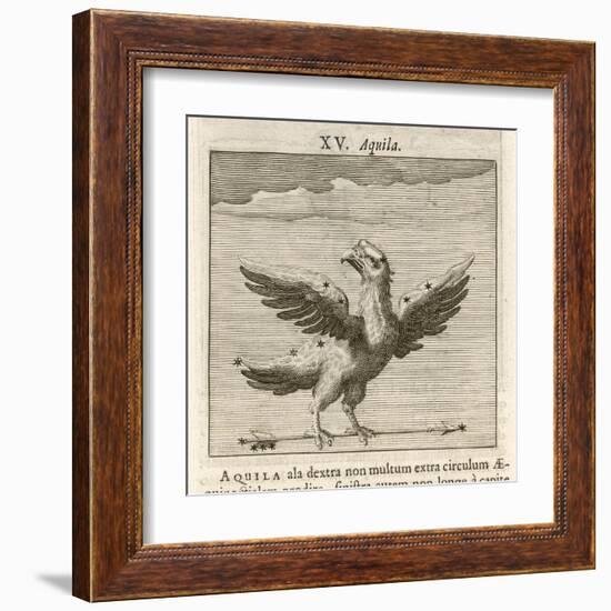 Aquila the Eagle-Gaius Julius Hyginus-Framed Art Print