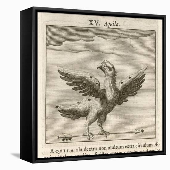 Aquila the Eagle-Gaius Julius Hyginus-Framed Stretched Canvas