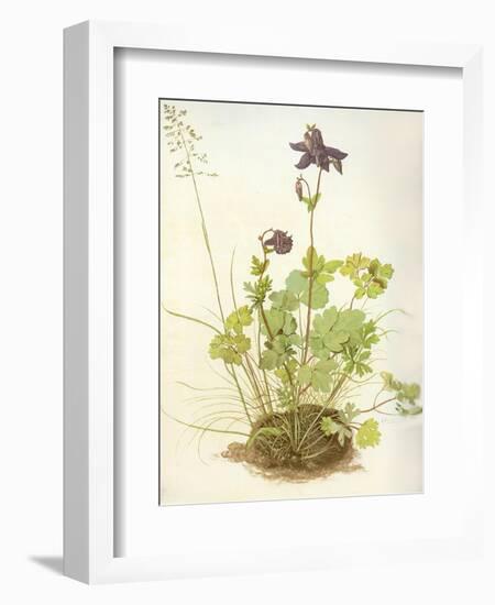 Aquilegia, 1526-Albrecht Dürer-Framed Giclee Print