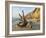 Aquinnah, Gay Head, Martha's Vineyard, Massachusetts, USA-Walter Bibikow-Framed Photographic Print