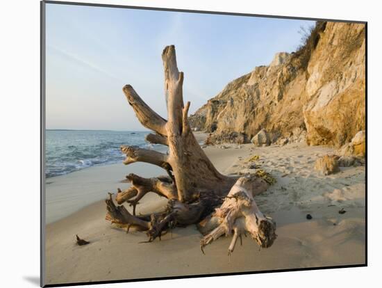 Aquinnah, Gay Head, Martha's Vineyard, Massachusetts, USA-Walter Bibikow-Mounted Photographic Print