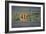 AR State Love 2-Design Turnpike-Framed Giclee Print