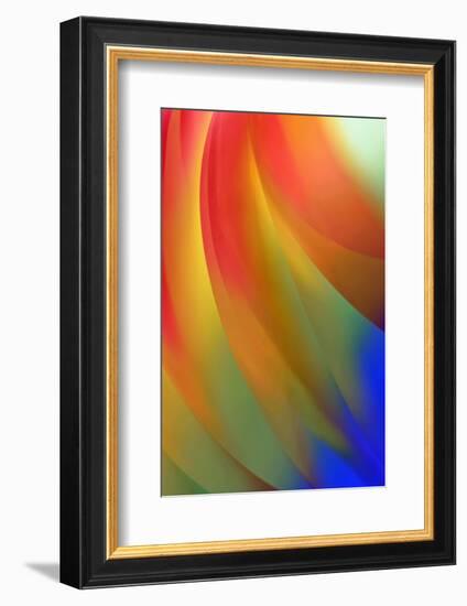 Ara-Heidi Westum-Framed Photographic Print