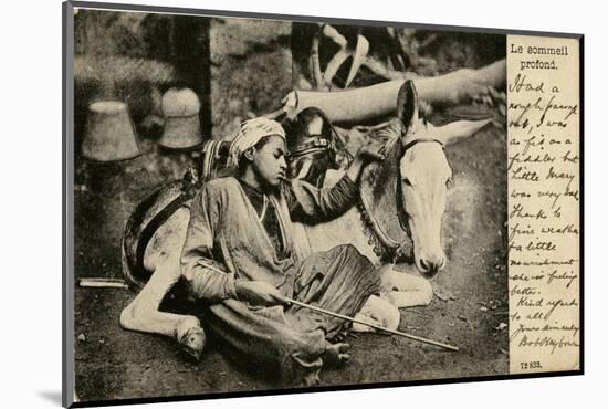 Arab Boy with Donkey, Egypt-null-Mounted Photographic Print