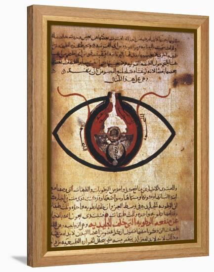 Arab Eye Treatise-null-Framed Premier Image Canvas