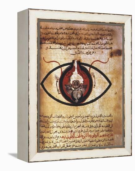 Arab Eye Treatise-null-Framed Premier Image Canvas