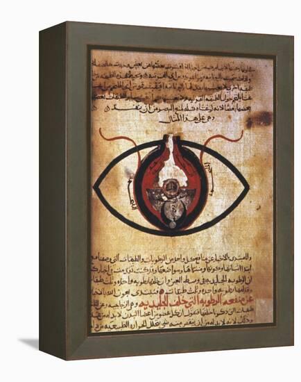 Arab Eye Treatise-null-Framed Premier Image Canvas