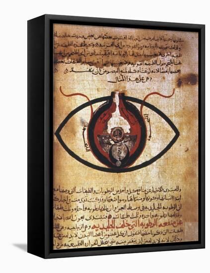 Arab Eye Treatise-null-Framed Premier Image Canvas