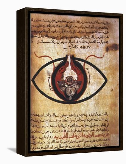 Arab Eye Treatise-null-Framed Premier Image Canvas