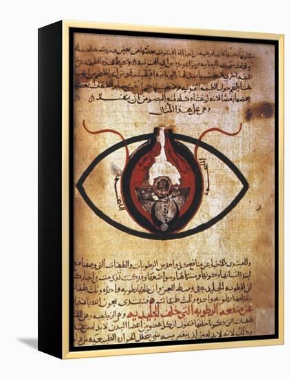 Arab Eye Treatise-null-Framed Premier Image Canvas