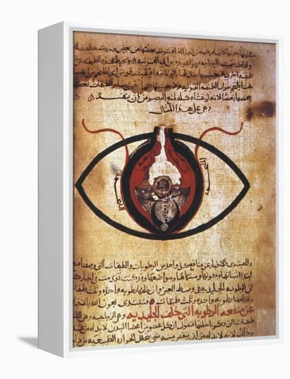 Arab Eye Treatise-null-Framed Premier Image Canvas