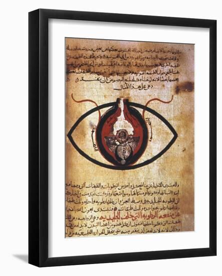 Arab Eye Treatise-null-Framed Giclee Print