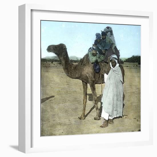 Arab Family on a Camel, Biskra (Algeria)-Leon, Levy et Fils-Framed Photographic Print